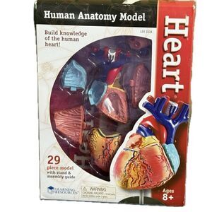 Learning Resources Human
Anatomy Model LER 3334 The Heart
29 Piece Model